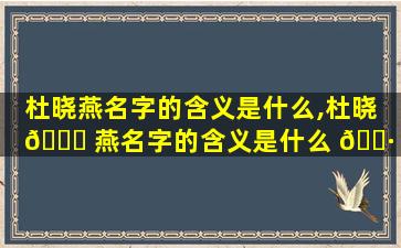 杜晓燕名字的含义是什么,杜晓 🐝 燕名字的含义是什么 🌷 意思